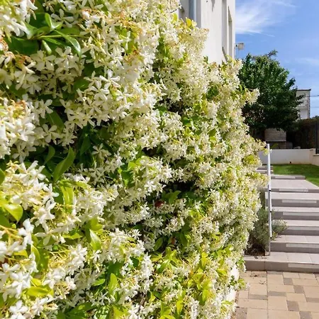 Mirela Апартаменты