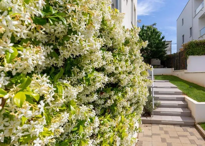 Mirela Апартаменты