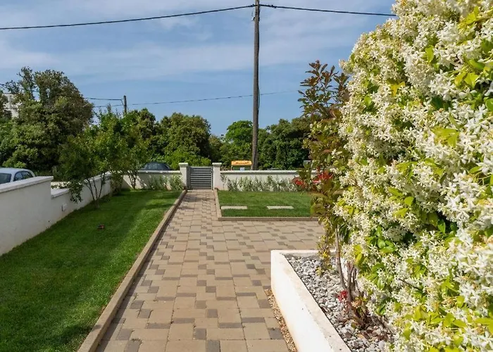 Mirela * Петрчане