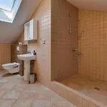 Apartment Mirela Petrcane