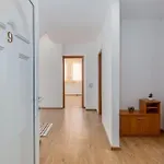 Apartment Mirela Petrcane